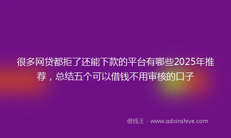 很多网贷都拒了还能下款的平台有哪些2025年推荐，总结五个可以借钱不用审核的口子