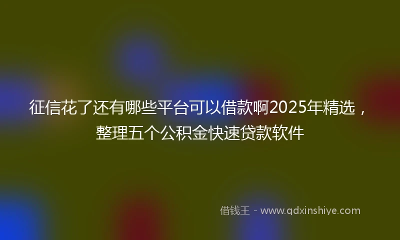征信花了还有哪些平台可以借款啊2025年精选，整理五个公积金快速贷款软件