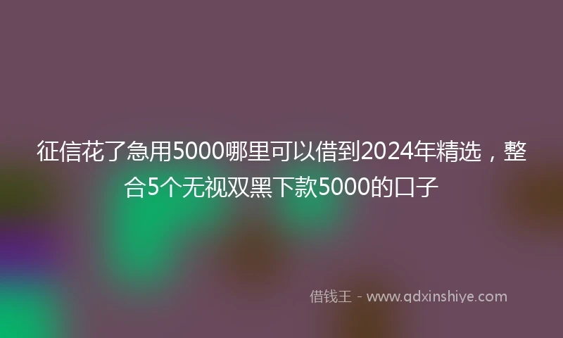征信花了急用5000哪里可以借到2024年精选，整合5个无视双黑下款5000的口子