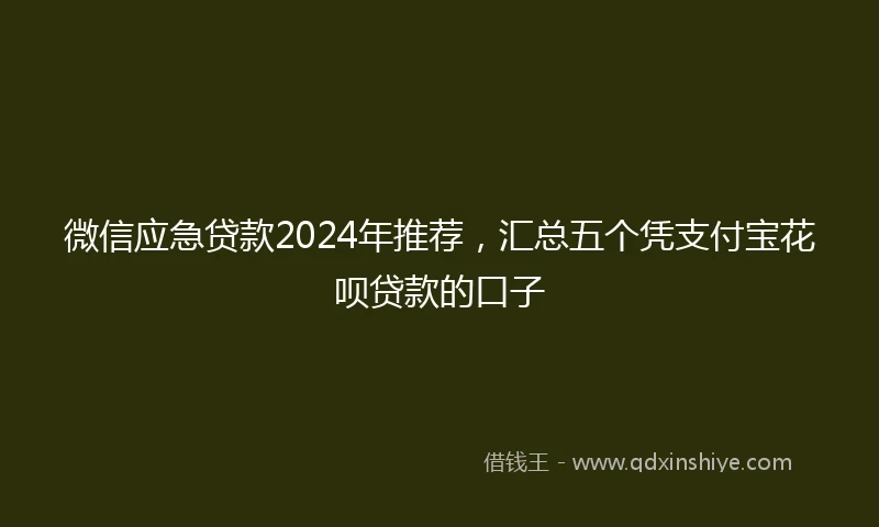 微信应急贷款2024年推荐,汇总五个凭支付宝花呗贷款的口子