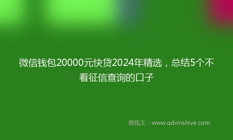 微信钱包20000元快贷2024年精选，总结5个不看征信查询的口子