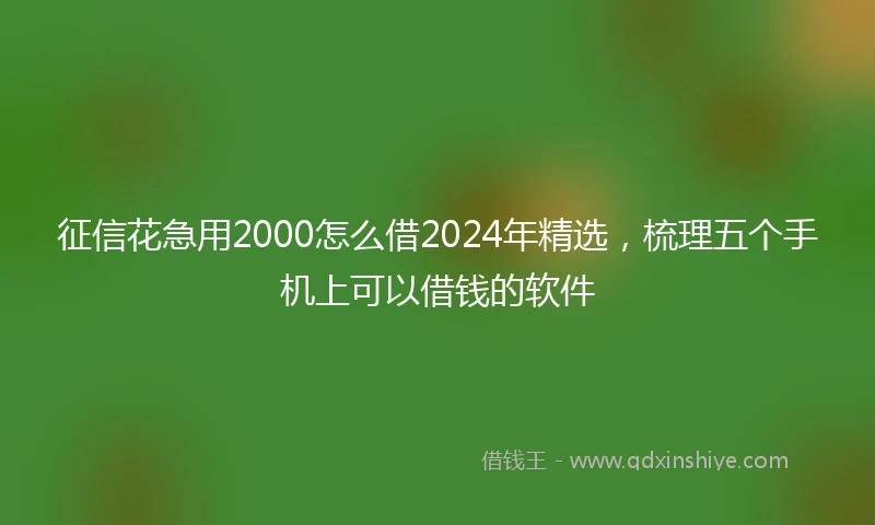 征信花急用2000怎么借2024年精选，梳理五个手机上可以借钱的软件