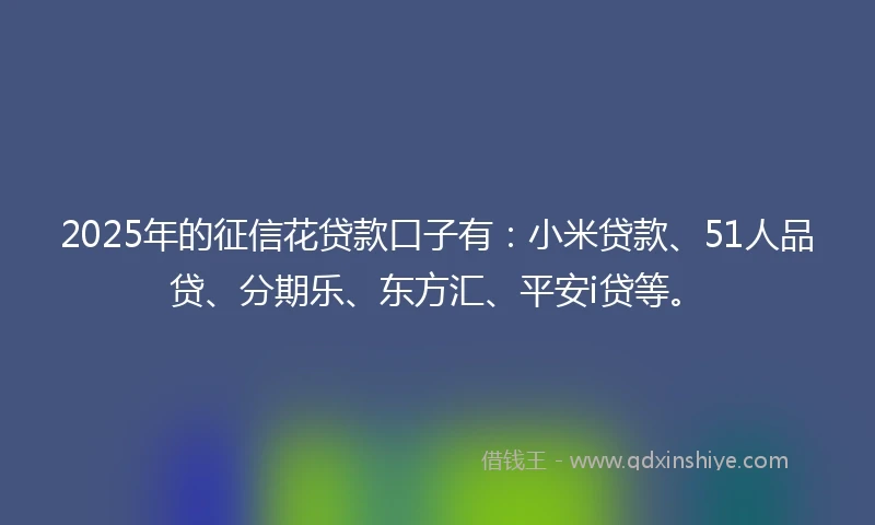 2025年的征信花贷款口子有：小米贷款、51人品贷、分期乐、东方汇、平安i贷等。