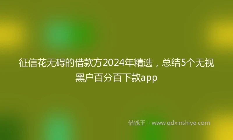 征信花无碍的借款方2024年精选，总结5个无视黑户百分百下款app