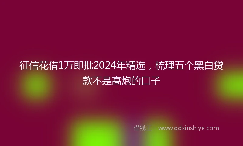 征信花借1万即批2024年精选，梳理五个黑白贷款不是高炮的口子