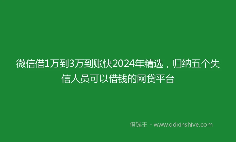微信借1万到3万到账快2024年精选，归纳五个失信人员可以借钱的网贷平台