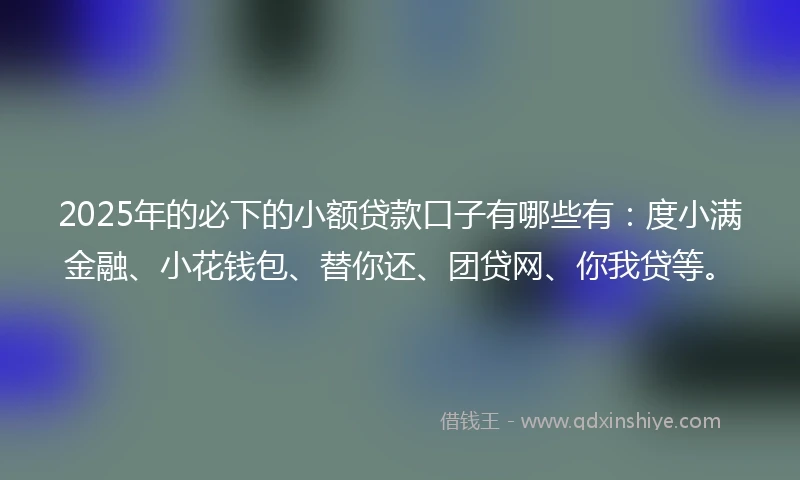 2025年的必下的小额贷款口子有哪些有：度小满金融、小花钱包、替你还、团贷网、你我贷等。