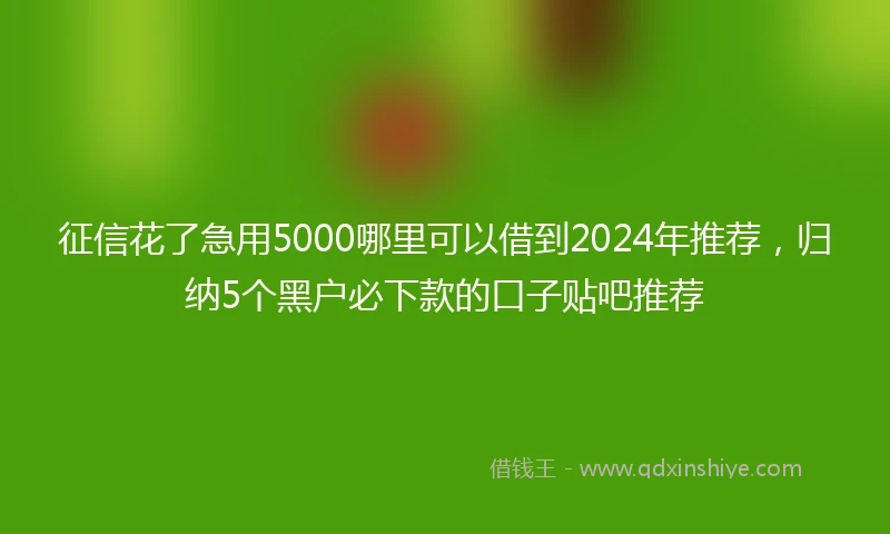 征信花了急用5000哪里可以借到2024年推荐，归纳5个黑户必下款的口子贴吧推荐