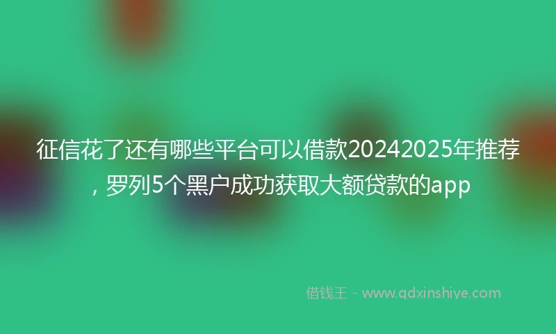 征信花了还有哪些平台可以借款20242025年推荐，罗列5个黑户成功获取大额贷款的app