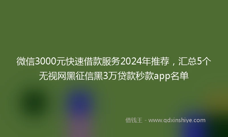 微信3000元快速借款服务2024年推荐，汇总5个无视网黑征信黑3万贷款秒款app名单