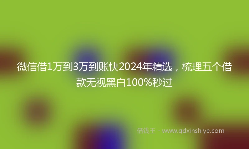 微信借1万到3万到账快2024年精选，梳理五个借款无视黑白100%秒过