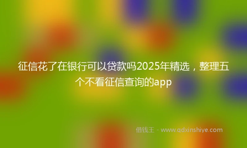 征信花了在银行可以贷款吗2025年精选，整理五个不看征信查询的app