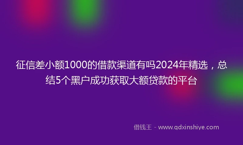 征信差小额1000的借款渠道有吗2024年精选，总结5个黑户成功获取大额贷款的平台