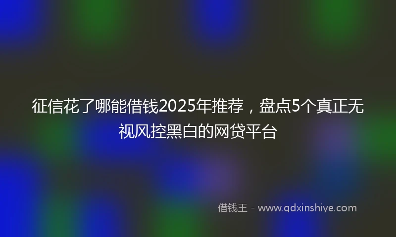 征信花了哪能借钱2025年推荐，盘点5个真正无视风控黑白的网贷平台