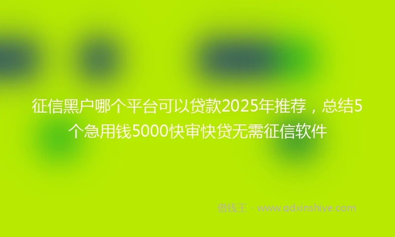 征信黑户哪个平台可以贷款2025年推荐,总结5个急用钱5000快审快贷无需征信软件