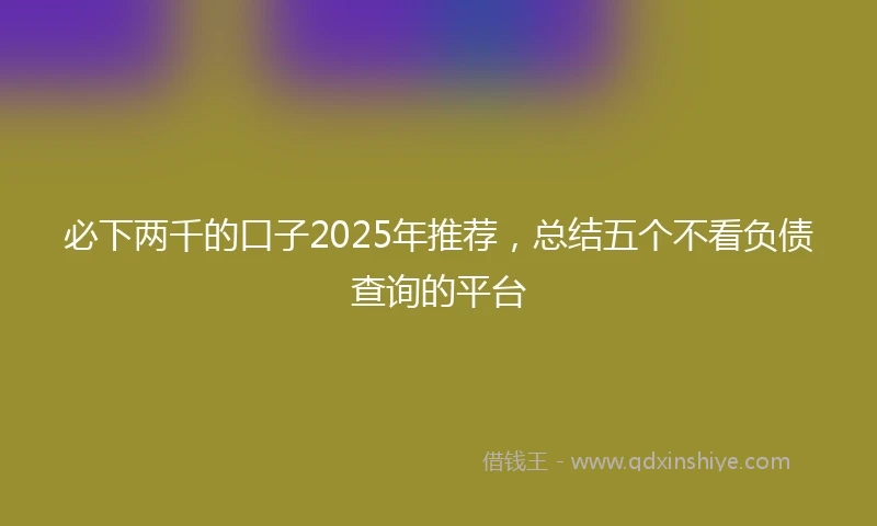 必下两千的口子2025年推荐，总结五个不看负债查询的平台