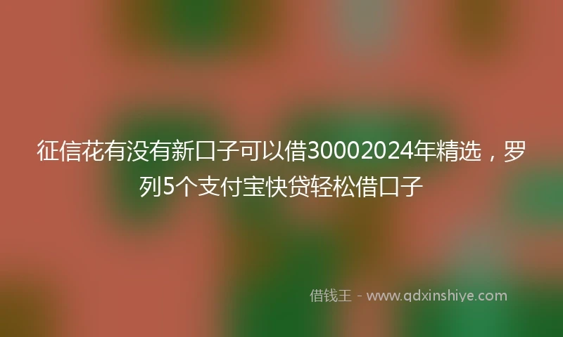 征信花有没有新口子可以借30002024年精选,罗列5个支付宝快贷轻松借口子