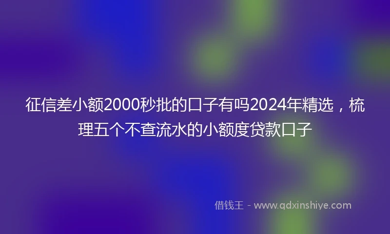 征信差小额2000秒批的口子有吗2024年精选，梳理五个不查流水的小额度贷款口子