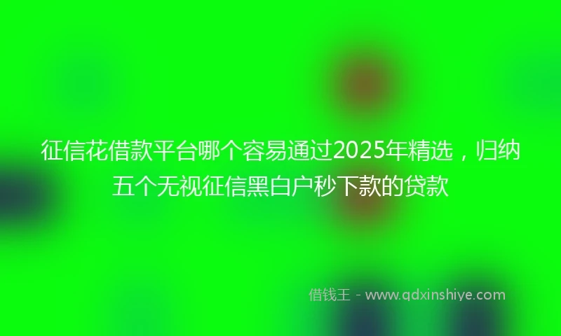 征信花借款平台哪个容易通过2025年精选，归纳五个无视征信黑白户秒下款的贷款