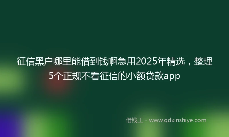 征信黑户哪里能借到钱啊急用2025年精选，整理5个正规不看征信的小额贷款app