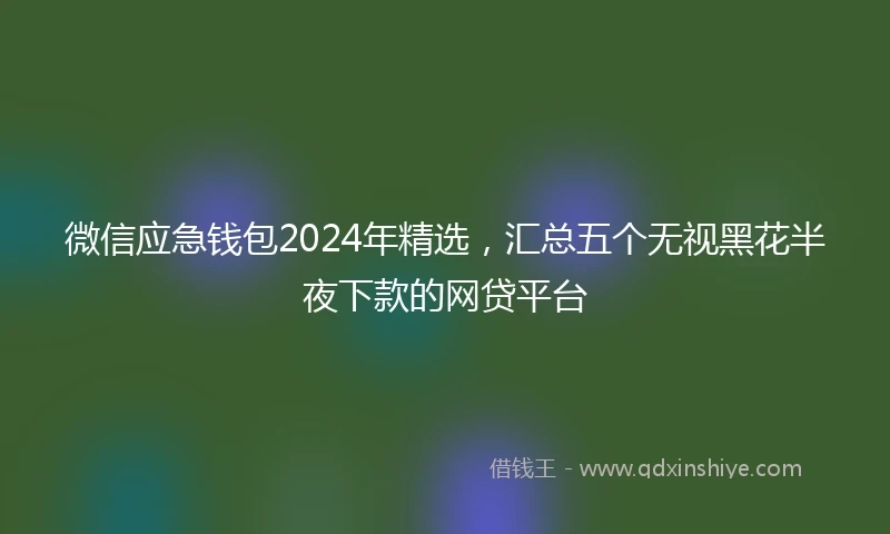 微信应急钱包2024年精选，汇总五个无视黑花半夜下款的网贷平台