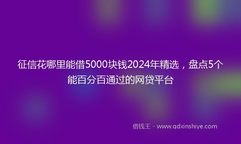 征信花哪里能借5000块钱2024年精选，盘点5个能百分百通过的网贷平台