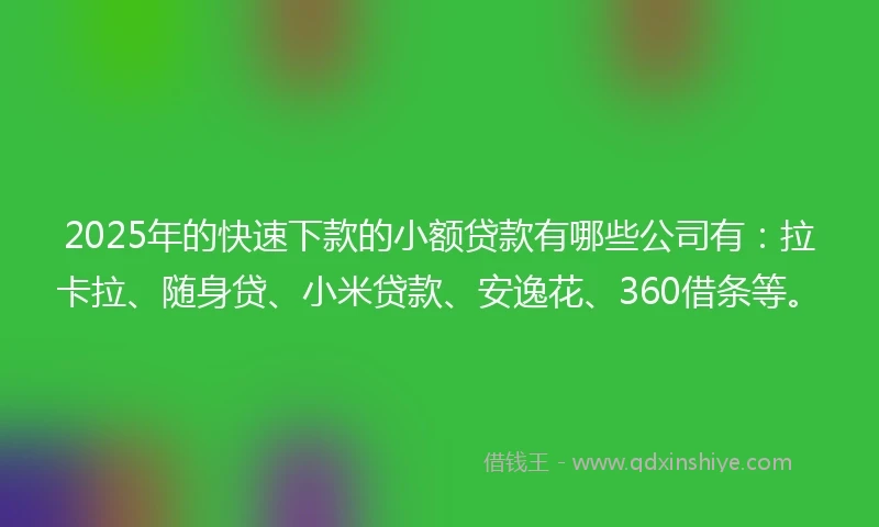 2025年的快速下款的小额贷款有哪些公司有：拉卡拉、随身贷、小米贷款、安逸花、360借条等。