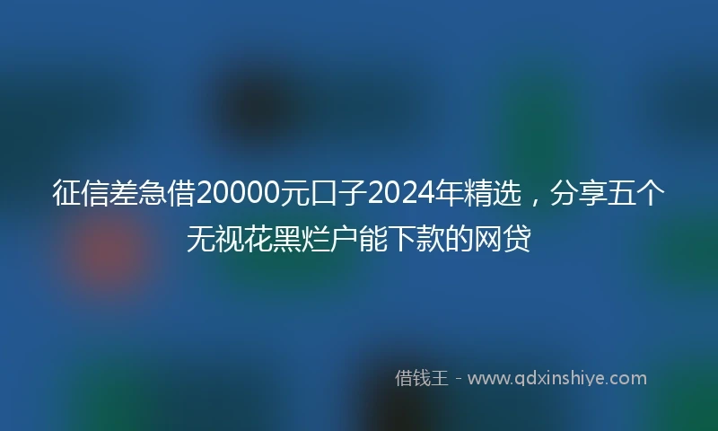 征信差急借20000元口子2024年精选，分享五个无视花黑烂户能下款的网贷