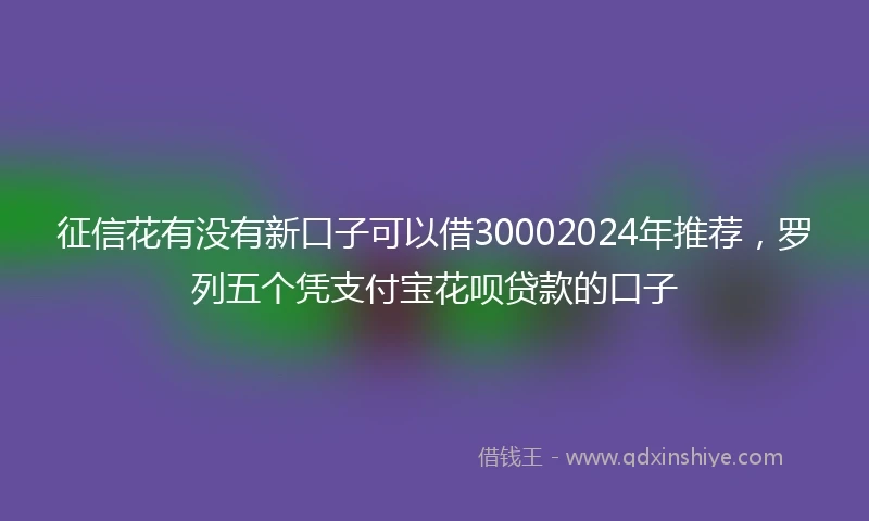 征信花有没有新口子可以借30002024年推荐，罗列五个凭支付宝花呗贷款的口子