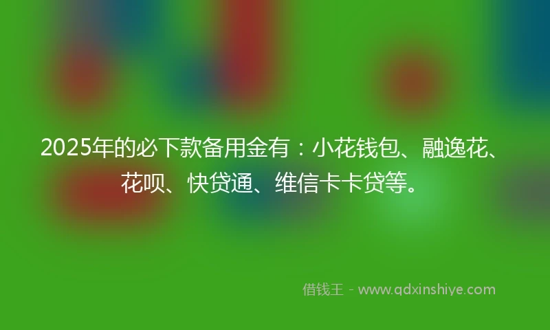 2025年的必下款备用金有：小花钱包、融逸花、花呗、快贷通、维信卡卡贷等。