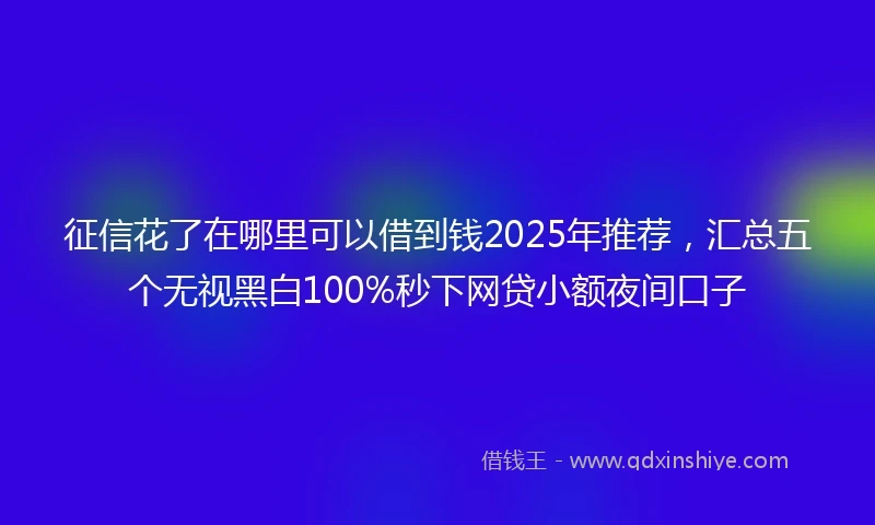 征信花了在哪里可以借到钱2025年推荐，汇总五个无视黑白100%秒下网贷小额夜间口子