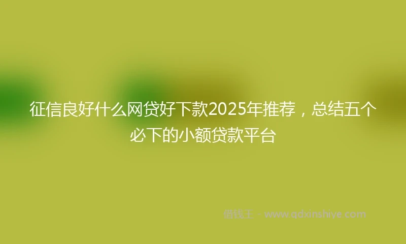 征信良好什么网贷好下款2025年推荐，总结五个必下的小额贷款平台