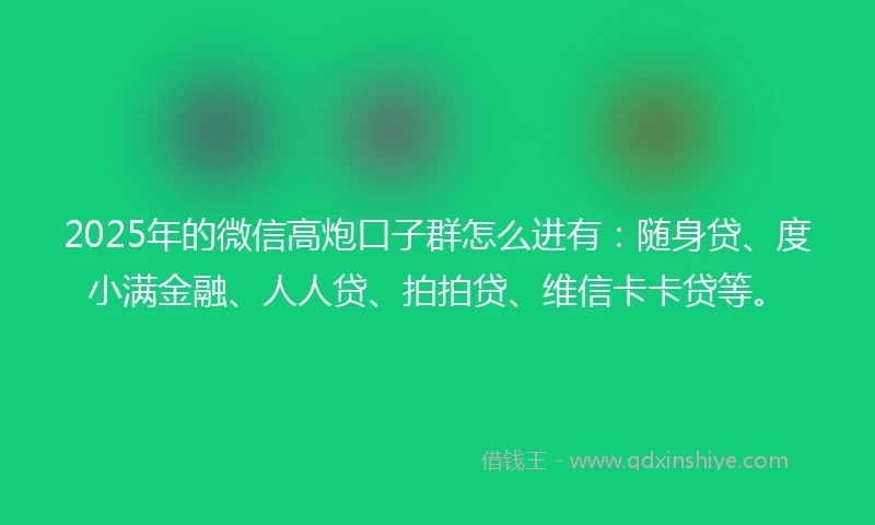 2025年的微信高炮口子群怎么进有：随身贷、度小满金融、人人贷、拍拍贷、维信卡卡贷等。