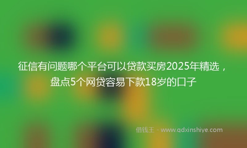 征信有问题哪个平台可以贷款买房2025年精选，盘点5个网贷容易下款18岁的口子
