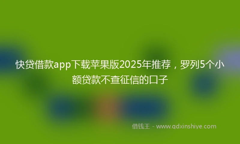 快贷借款app下载苹果版2025年推荐，罗列5个小额贷款不查征信的口子