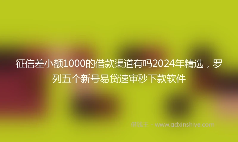 征信差小额1000的借款渠道有吗2024年精选，罗列五个新号易贷速审秒下款软件