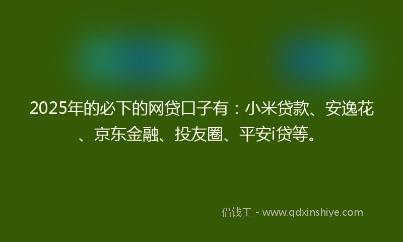 2025年的必下的网贷口子有：小米贷款、安逸花、京东金融、投友圈、平安i贷等。