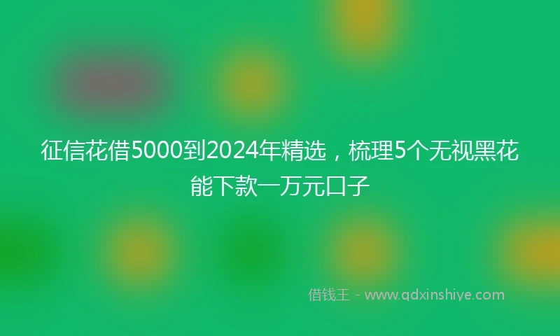 征信花借5000到2024年精选，梳理5个无视黑花能下款一万元口子