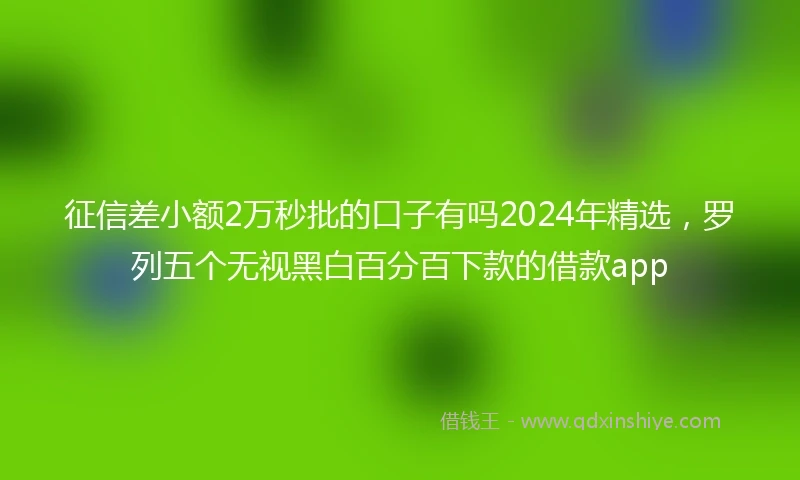 征信差小额2万秒批的口子有吗2024年精选，罗列五个无视黑白百分百下款的借款app