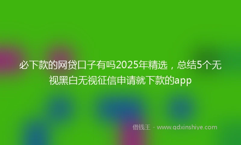 必下款的网贷口子有吗2025年精选，总结5个无视黑白无视征信申请就下款的app