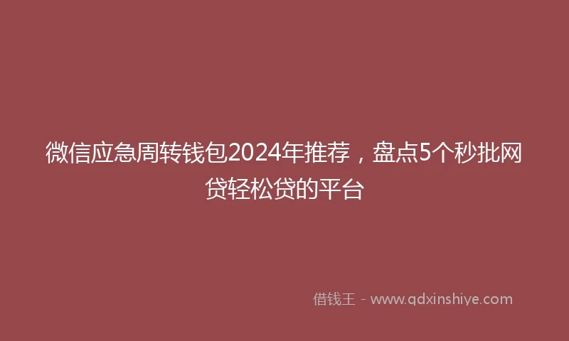 微信应急周转钱包2024年推荐，盘点5个秒批网贷轻松贷的平台