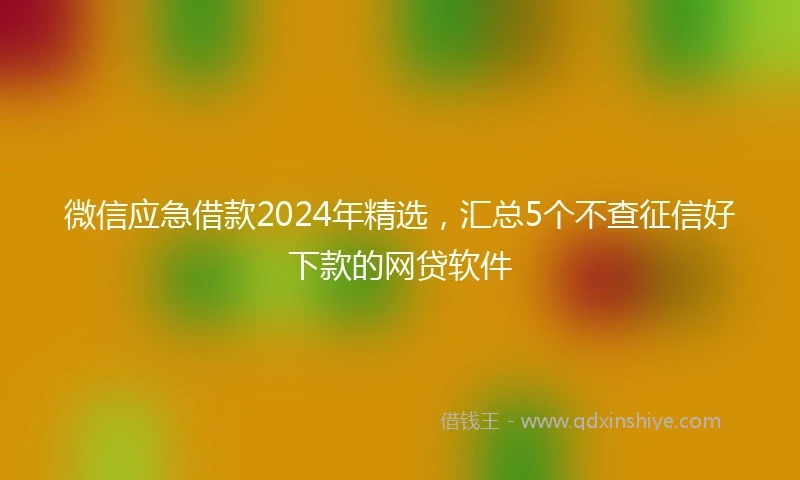 微信应急借款2024年精选，汇总5个不查征信好下款的网贷软件