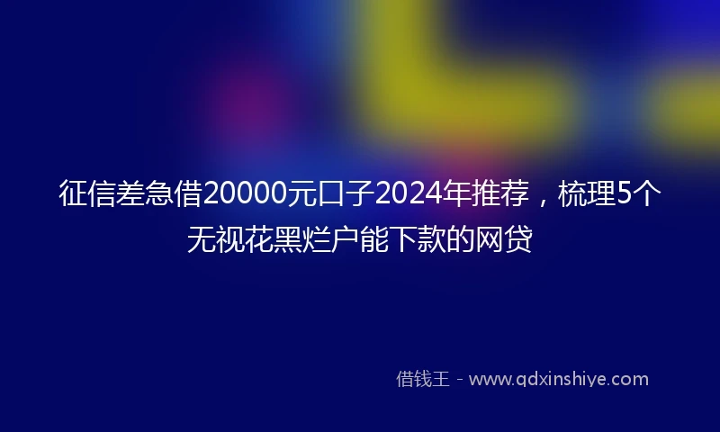 征信差急借20000元口子2024年推荐，梳理5个无视花黑烂户能下款的网贷