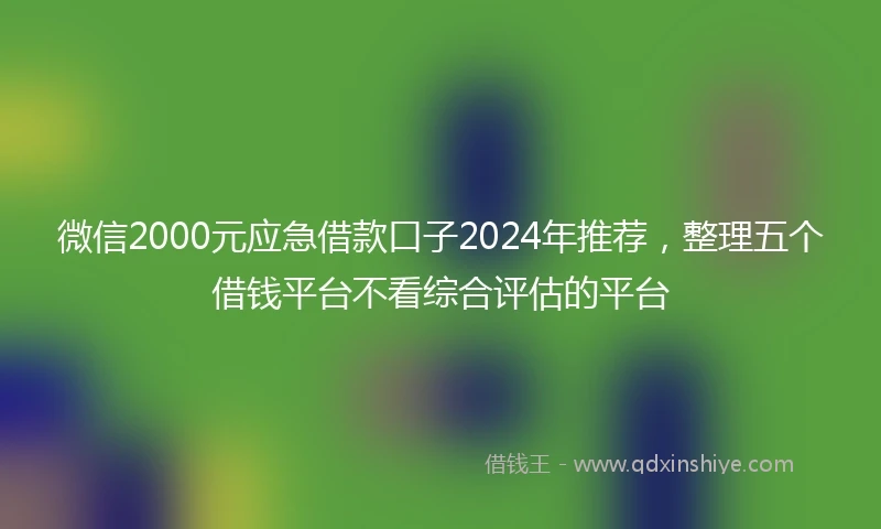 微信2000元应急借款口子2024年推荐，整理五个借钱平台不看综合评估的平台