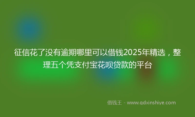 征信花了没有逾期哪里可以借钱2025年精选，整理五个凭支付宝花呗贷款的平台