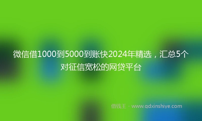 微信借1000到5000到账快2024年精选，汇总5个对征信宽松的网贷平台