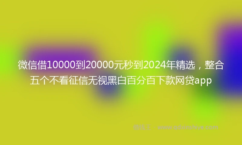 微信借10000到20000元秒到2024年精选，整合五个不看征信无视黑白百分百下款网贷app