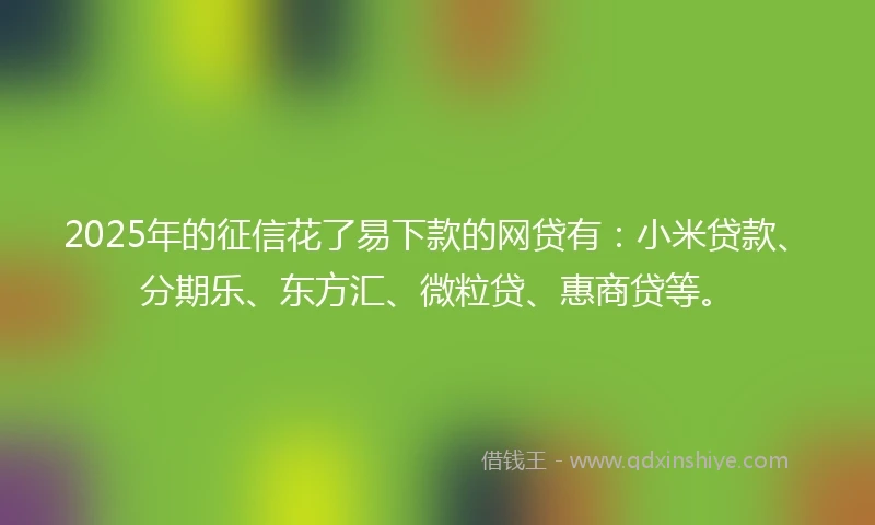 2025年的征信花了易下款的网贷有：小米贷款、分期乐、东方汇、微粒贷、惠商贷等。