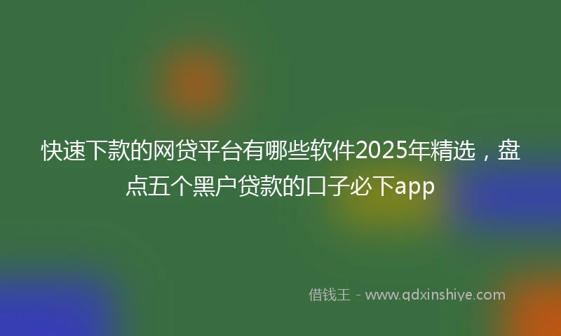 快速下款的网贷平台有哪些软件2025年精选,盘点五个黑户贷款的口子必下app