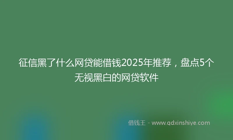 征信黑了什么网贷能借钱2025年推荐，盘点5个无视黑白的网贷软件
